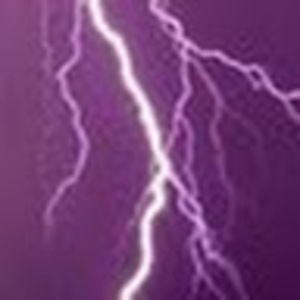 Meet your Posher, Sandy